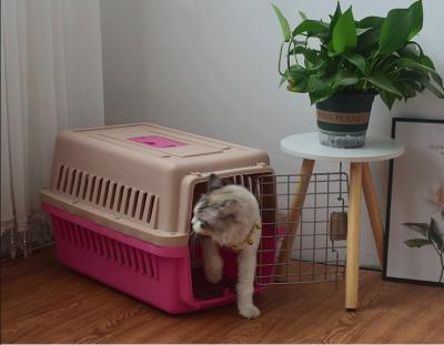 China Sustainable Breathable Outdoor Pet Crate Carrier for sale