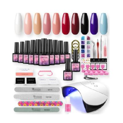 China Hot Sale 40 Colors UV Gel Nail Polish Color Kit With Nail Lamp Tool Full Offer Nail Art Kit MK-TZ008 for sale