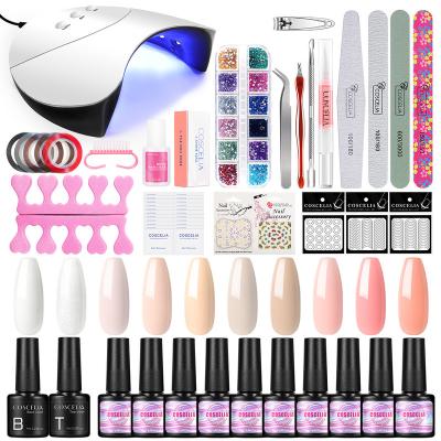 China Professional Gel Polish Kit With Lamp UV Lamp Private Label Nail Art Tool Gel Full Nail Gel Kit MK-TZ006 for sale