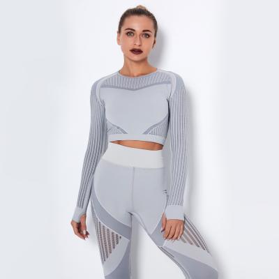 China Antibacterial China Manufacture 2 Piece Seamless Sports Suit Gym Workout Clothes Long Sleeve Fitness Yoga Suit for sale