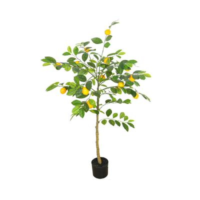 China 100cm 120cm 150cm Contemporary Wholesale Environmental Plastic Artificial Plant 180cm Bonsai Green Plant Lemon Tree Home Decor for sale