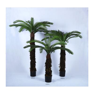 China Contemporary China Guangdong Making Outdoor Plastic Supplied Tall Artificial Cycas Palm Tree for sale