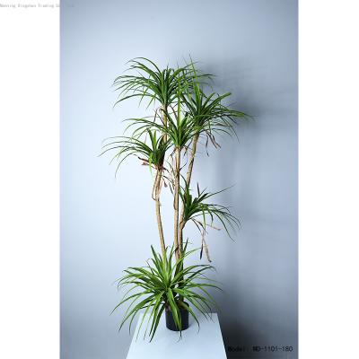 China Art Decor 2021 New Design Artificial Trees For Plants And Indoor Decorative Artificial Trees Dracaena Sanderiena Tree for sale