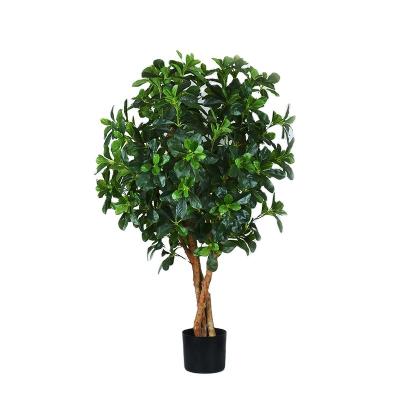 China Home Large Bonsai Tree Artificial Polyscia Tree High Quality Environmentally Friendly Indoor Decorative Artificial Plants Greenery for sale