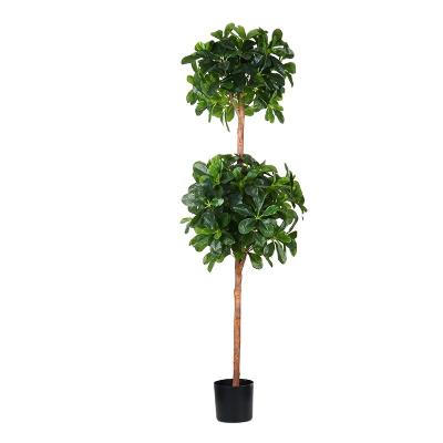 China Environmentally Friendly Direct Plants Double Canopy Home Decor Plant Polyscia Artificial Green Tree for sale