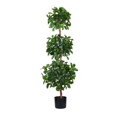 China New Plant Bonsai Tree Planta Artificial Plastic Bonsai Plant Polyscia Environmentally Friendly Artificial Artificial Tree for sale