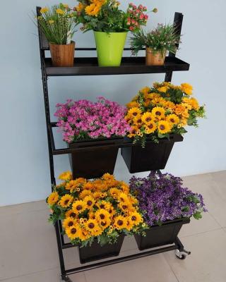 China Movable Flower Display Rack / Floral Display Stands In Home Garden for sale