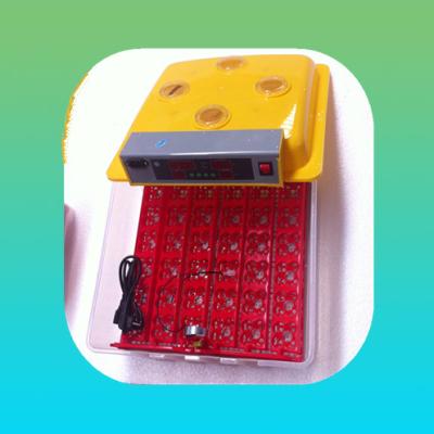 China Full Automatic and Multifunctional Promotion 36 Mini Parrot Egg Incubator with Multifunctional Egg Turner Tray for sale