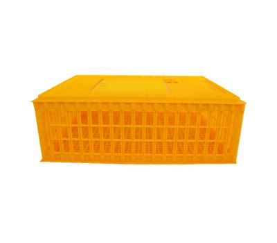 China poultry field farm chicken transport crate/assembly self-locking crate and double chip chicken crate for sale