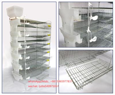 China Automatic Feeding System Quail Breeding Cages For Layer (lydia whatsapp: +8615965977837) for sale