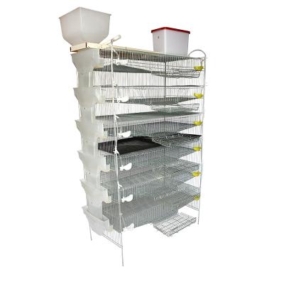 China Automatic feeding system commercial quail cages, quail breeding cages in high quality (lydia whatsapp: +8615965977837) for sale