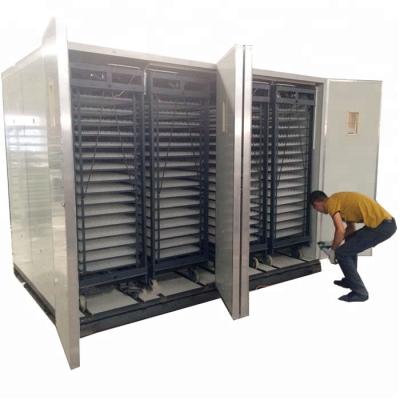 China 22528 fully automatic fully automatic egg incubator for sale large incubator for sale