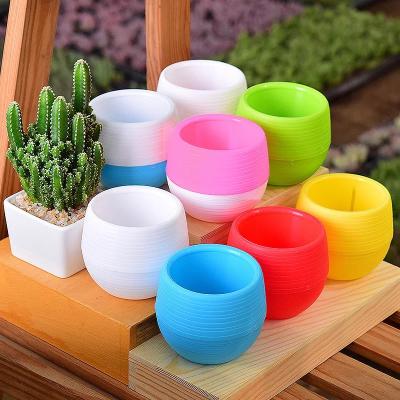 China Mini Round pp Plant Flower Pot Modern Creative Colorful Plastic Eco-friendly Home Office Decor Desktop Planter for sale