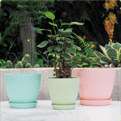 China Modern manufacturer flowerpot simulation flower decoration vertical stripe plastic desktop planting meat multi basin round flower pot for sale