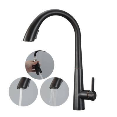 China Sense Faucets New Arrival 304 Stainless Steel GLOBE Pull Out Kitchen Faucet With Hidden Sprayer Kitchen Sink Faucet for sale