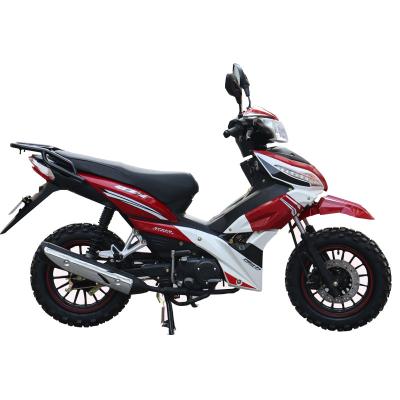 China Transport Peru Hot Selling Hawks 125cc 110cc Women Calves Bikes For South America Motorcycles Market for sale