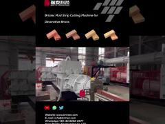 Brictec mud strip cutting machine for decorative bricks