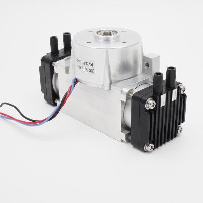 China OIL-LESS Novelty High Flow High Vacuum DC 24V Piston Vacuum Pump Large Suction Pump for sale