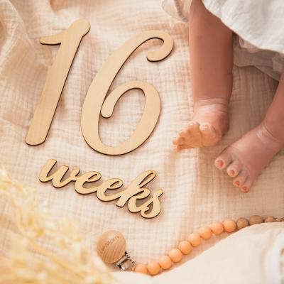 China Chip Alphanumeric Milestone Newborn Age Raw Wooden Chip Toy Photography Props Wholesale China Disc Toy Photography Props for sale