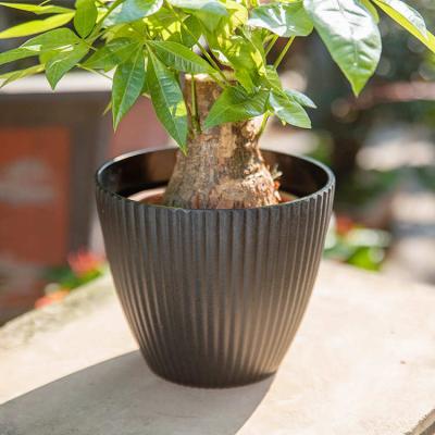 China Eco - Friendly Plant Customized Multi Sizes Flower Plant Planters Wholesale Plastic Pot for sale