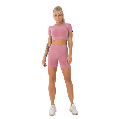 China Breathable FanLi New Design Ribbed Yoga Workout Shorts Set 2 Piece Live Fit Fitness Clothing Active Wear Crop Top Ribbed Shorts Sets for sale