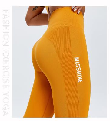 China Breathable High quality quick dry Fitness Yoga Leggings Seamless Gym Leggings Sportswear for sale