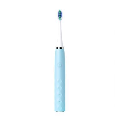 China Teeth Cleaner 2022 Dycrol Electric Toothbrush Cheapest Travel Toothbrush Rechargeable Kits for sale