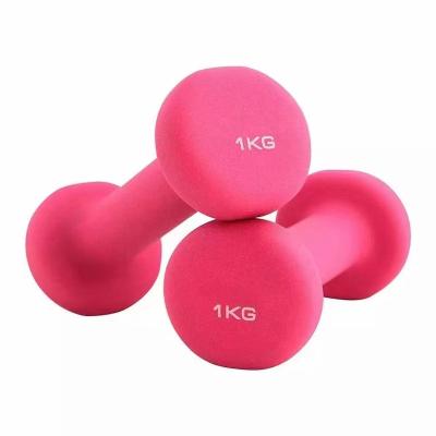 China Plastic Immersion In Hot Selling Dumbbell And Cast Dumbbell Multicolor Logo Custom Small Dumbbells Pvc Dumbbell for sale