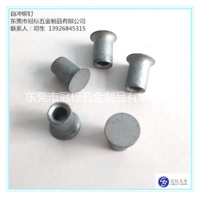 China Zelf het Doordringen Klinknagelsjis Norm met hoge weerstand 5.3x6mm 5.3x7mm 5.3x8mm Te koop