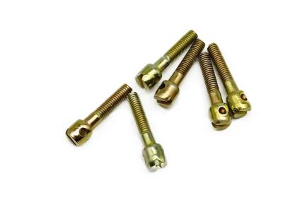 China Cylindrical Head With Hole Coarse Thread Meter Screws, Galvanized Iron Or Stainless Steel Sealing Screws For Instruments for sale