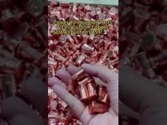 Stainless Steel Standoff Screws