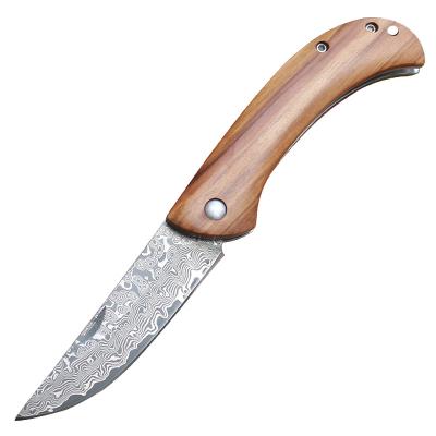 China Damascus Knife Stainless Steel Easy Carry Utility Knife Folding Survival Knife Outdoor Wood Forged Handle for sale