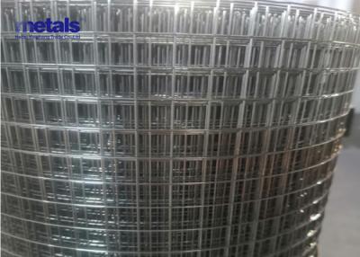 China Heavy-Gauge Galvanized Welded Wire Mesh 4x4 Inch Or 2x2 Inch Openings for sale