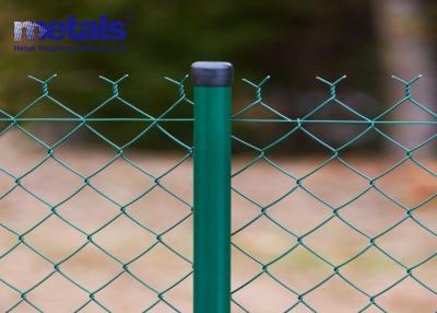 China PVC Coated Chain Link  Fence  Dimond Fence For Garden Fence Park Fence for sale