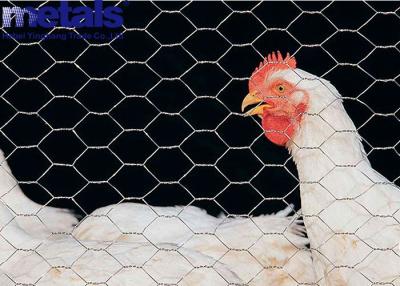 China 3ft By 30m Hexgonal Wire Mesh In Kenya Poultry Fencing Chicken Coop for sale