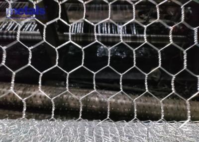 China BWG14 Poultry Galvanized Hexagonal Chicken Wire Mesh Netting 3ft X 100ft for sale