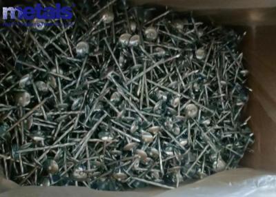 China Smooth Shank Metal Hot Galvanized Roofing Nails Perfect Finish for sale