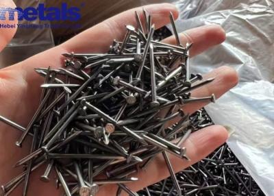 China Carbon Steel Stainless Steel Nail Common Wire Various Surface Finishes for sale