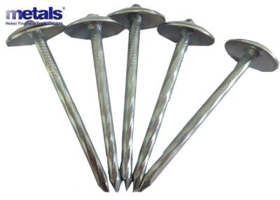 China Twisted Shank Umbrella Galvanized Roof Nails With Cap BWG9X2.5 Clavo Para Techo De Zinc Ring Shank Roofing Nail Without Washer for sale