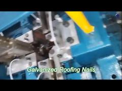 corrosion resistant galv clout nails electro galvanized nails