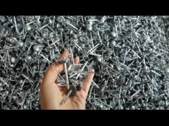 BWG9 Hot Dipped Galvanized Roofing Nails Twisted Shank With Ruber Washer 1/2“