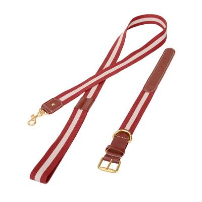 China Stored Widely Used Dog Leash Rope Pet Leashes Dog Rope Pet Leash for sale