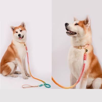 China Gradient Comfort Dog 100% Cotton Rope Leash Pet Stocked Leashes And Collars Pet Leashes And Collars for sale