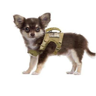 China China Manufacture Stocked Tactical Dog Vest Dog Vest Dog Harness Vest for sale