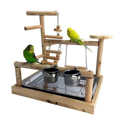 China Viable Parrots Playground Bird Perch Gym Park with Ladder Swings Feeding Cups for Parakeets African Gray Conures Cockatiel for sale