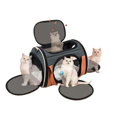 China Mesh Windows Ventilation Airline Approved Comfortable Moving Viable Cat Dog Carrier For Dog Cat for sale