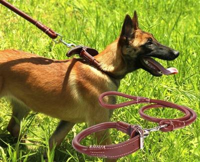 China Leashes Viable Collar & Type Application Dog Collars & Leash Dogs & Braided Leather Leashes for sale