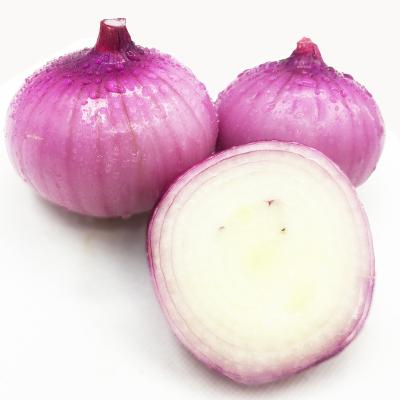 China New Cheap Season Frozen Food Bulk FROZEN Market Cut Onion for sale