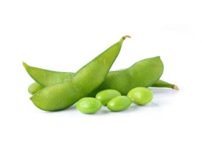 China Organic Frozen Bulk Edamame KOSHER Long Run FROZEN for sale