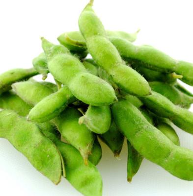 China FROZEN Advanced Testing Carton Packing Chinese IQF Edamame Vegetable Frozen In Pod for sale